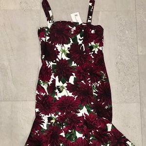 NWT: Oscar De La Renta Dress